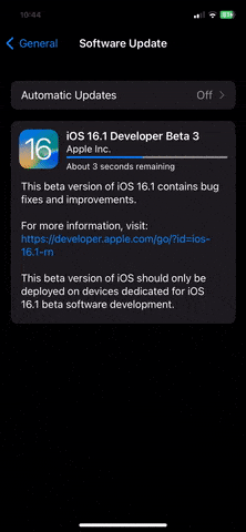 How to download iOS 16.1 developer beta 3 Update