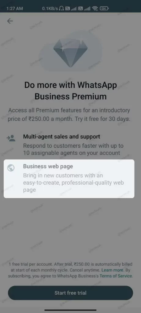 Business Web Page Whatsapp Premium features