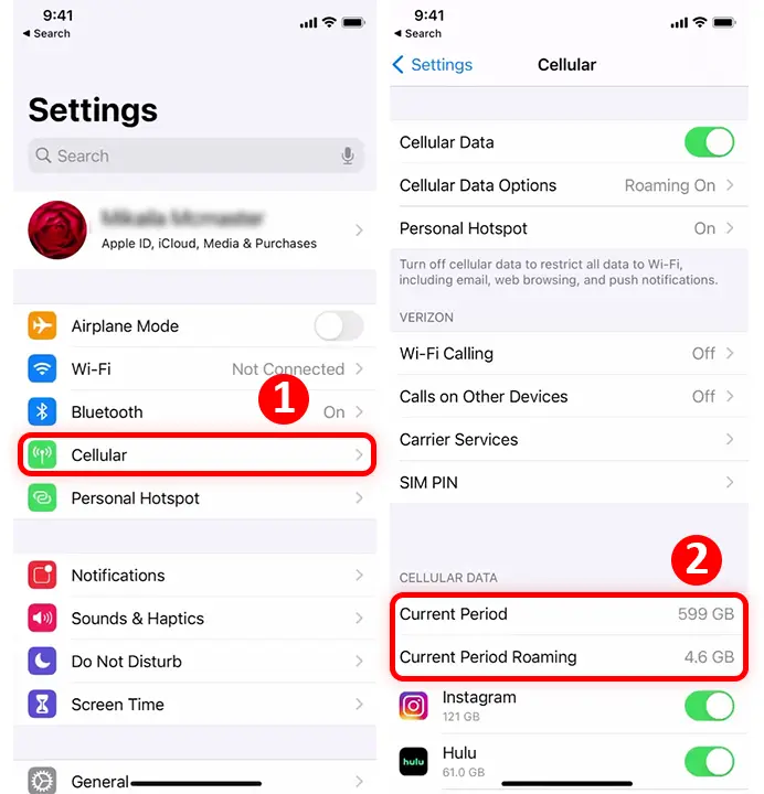Check cellular data usage for a specified period on iPhone