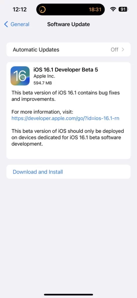 ios 16.1 developer beta 5