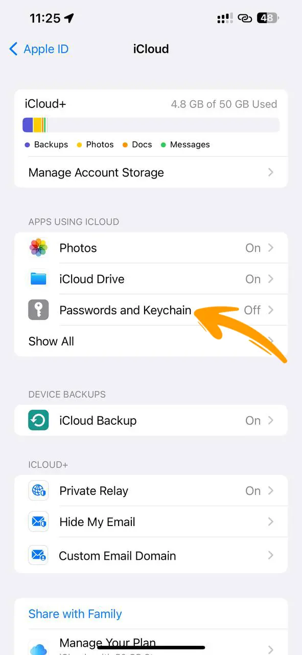 Choose Password and Keychain option to save the WiFi password to Keychain