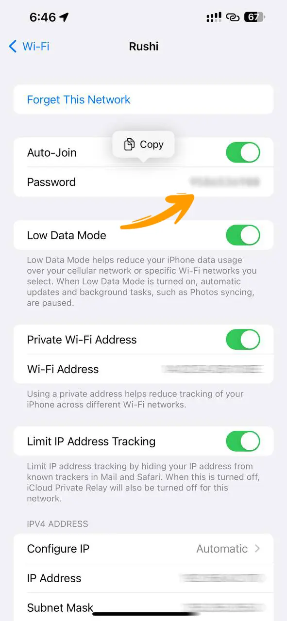 Step 5-WiFi Password display on iPhone