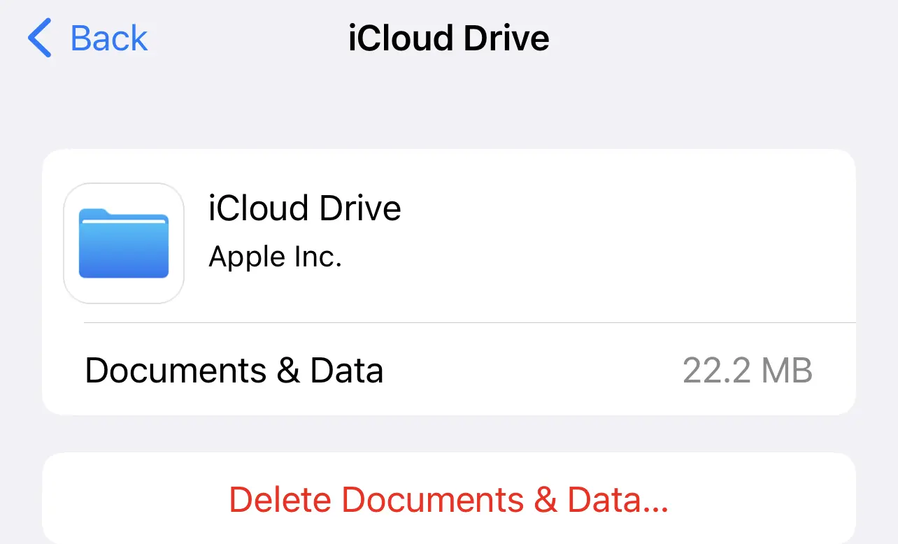 Manage app data for iCloud