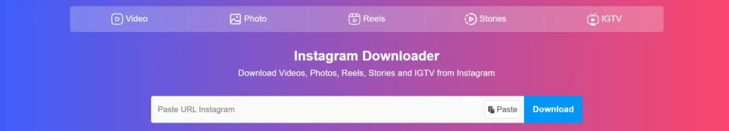 Download Instagram Reels Using Online Downloading Websites