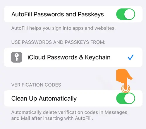 Automatically Clean Up Verification Code from iPhone 3