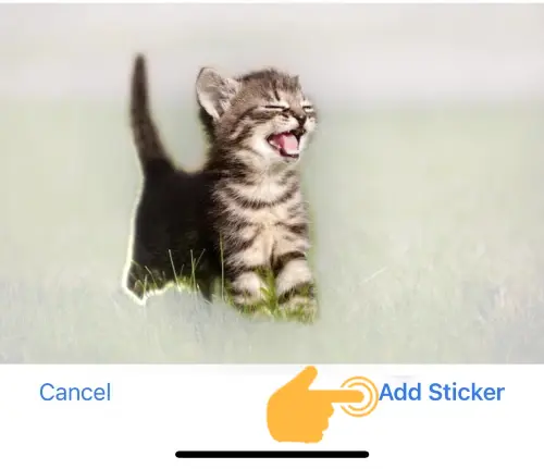 Create Live Stickers in iOS 17 4