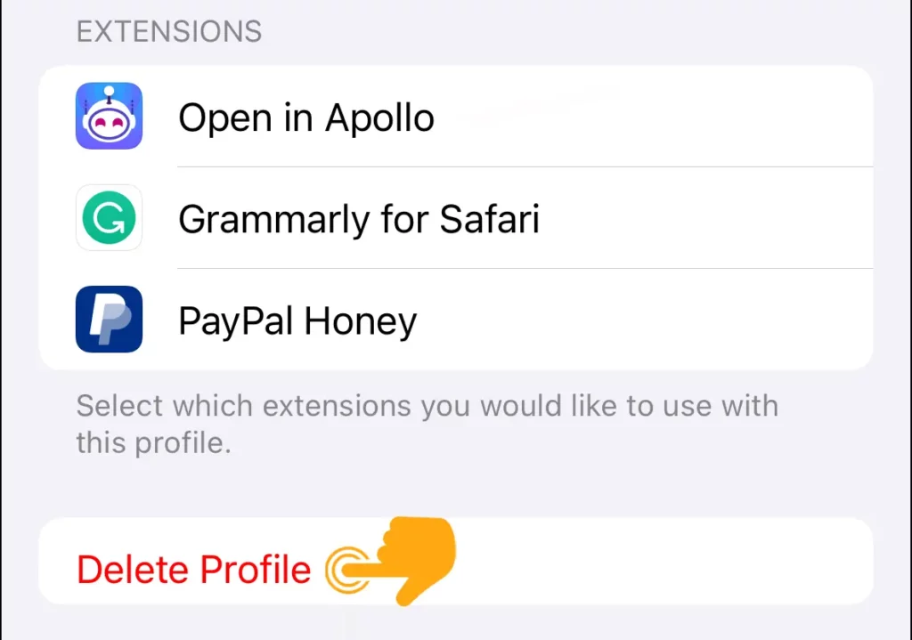 Delete Profile in Safari