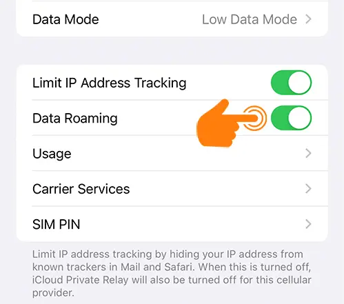 Enable Data Roaming on iPhone