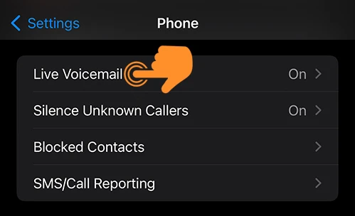 Live VoiceMail on iPhone Settings