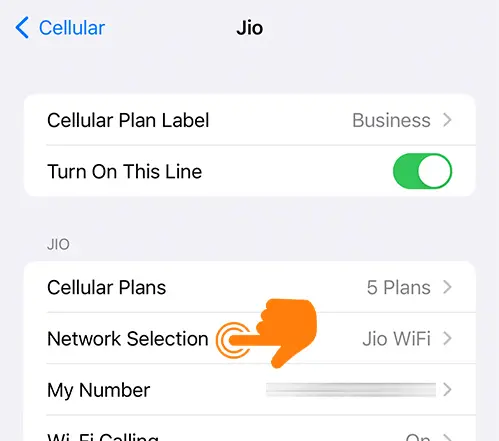 Open Cellular Network Selection on iPhone