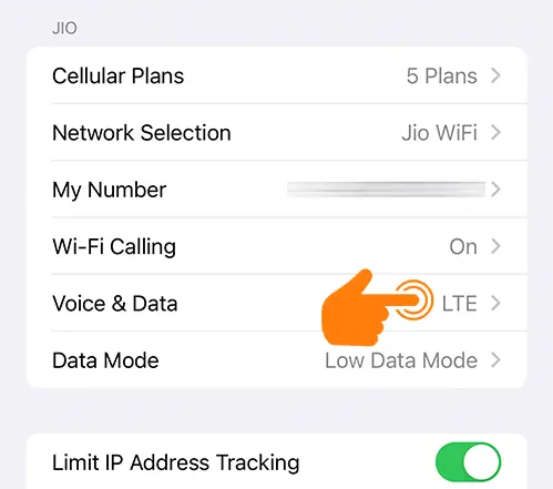 Open Voice & Data Option on iPhone