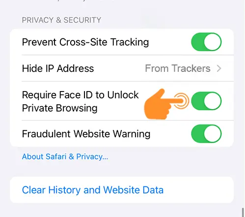 Turn On Require Face ID to Unlock Private Browsing