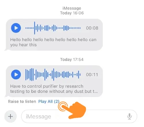 Use Audio Message Transcriptions on iPhone 3