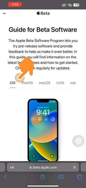 Click on iOS under Guide for Beta software