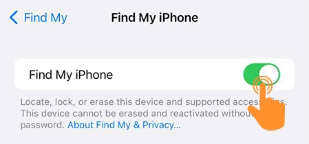 Enable the Find My iPhone option 3
