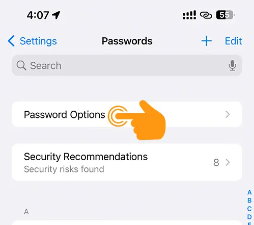 Password Option in iOS 17