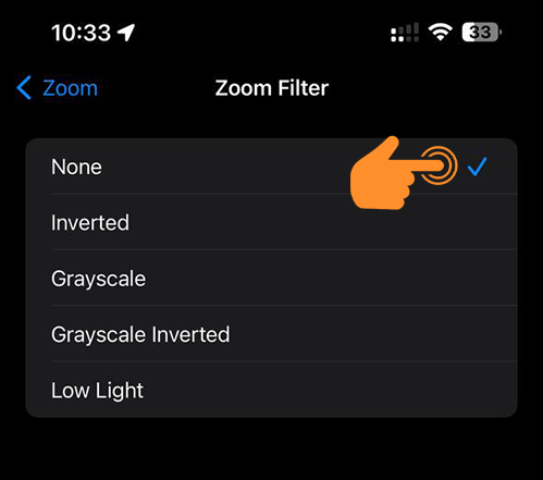 Change Zoom Filter on iPhone