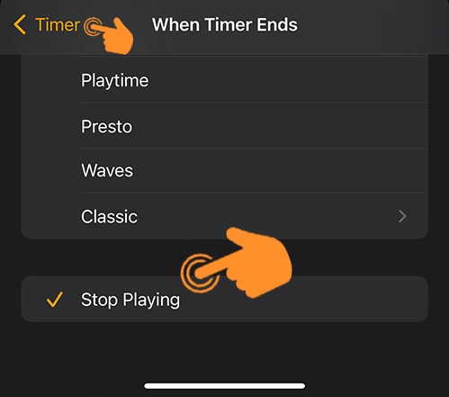 Select Stop Playing option under when timer ends