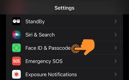 Tap on Face ID and Passcode option in Settings