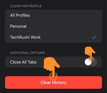 Tap on clear history to Clear Safari History of Specific Profiles