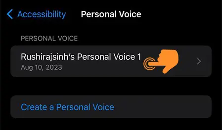 choose your Voice for Store Personal Voice
