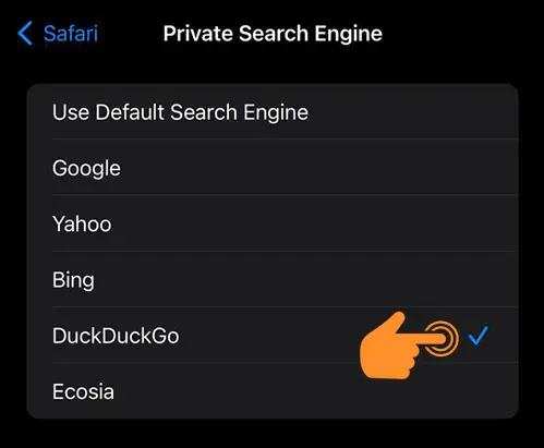 default private search engine in safari