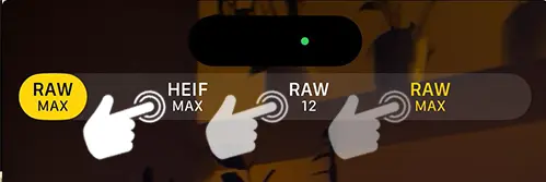 Select HEIF MAX or RAW12 or RAW MAX