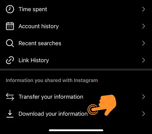 Tap on the Download your information in instagram